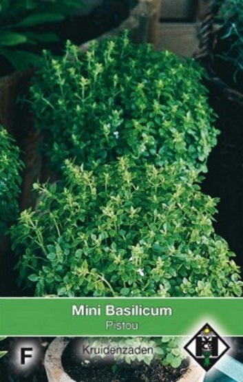 Basilikum Pistou (Ocimum basilicum) 350 Samen